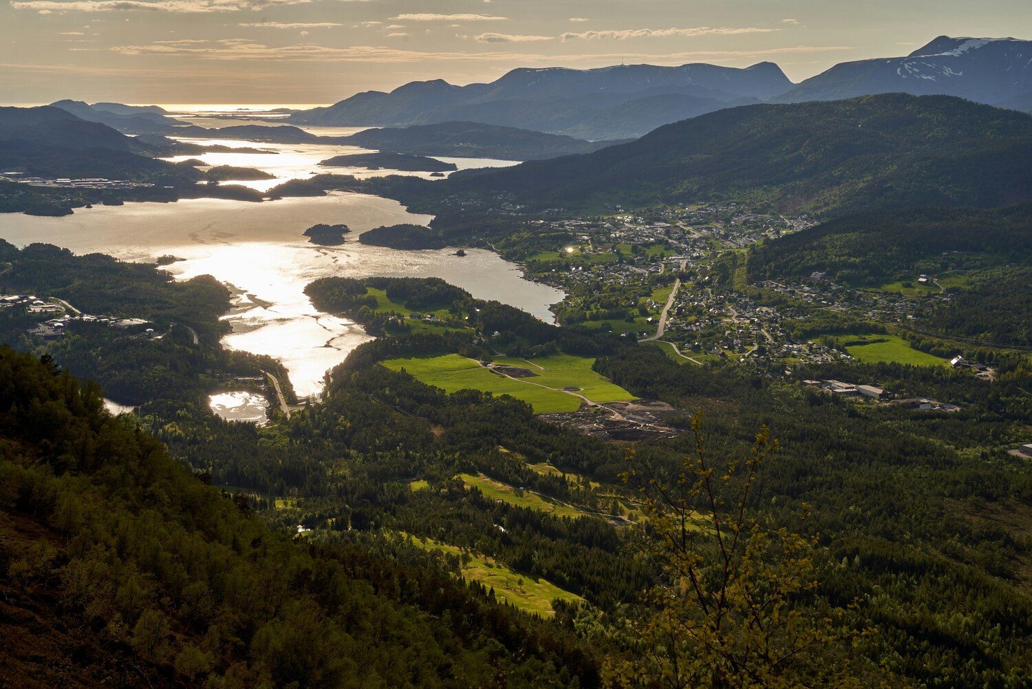Sjøholt