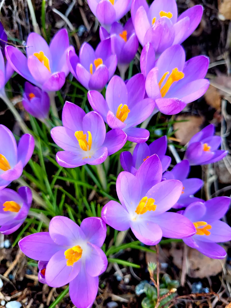 Norwegian village landscape seen from above