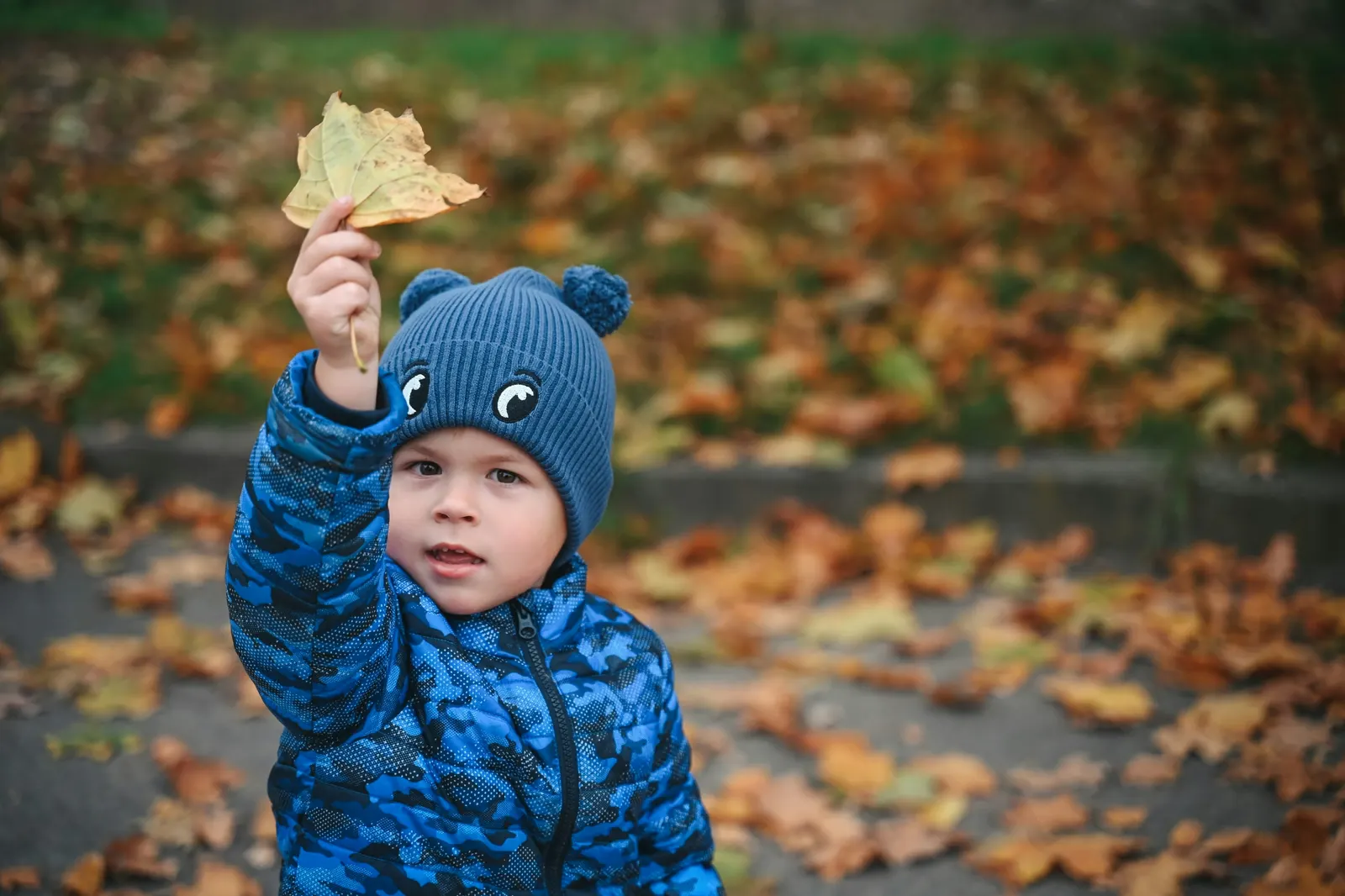 Young child in a blue winter hat holding up a golden autumn leaf against a carpet of fallen leaves