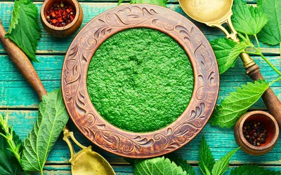 Wild edible plants growing in Norwegian countryside