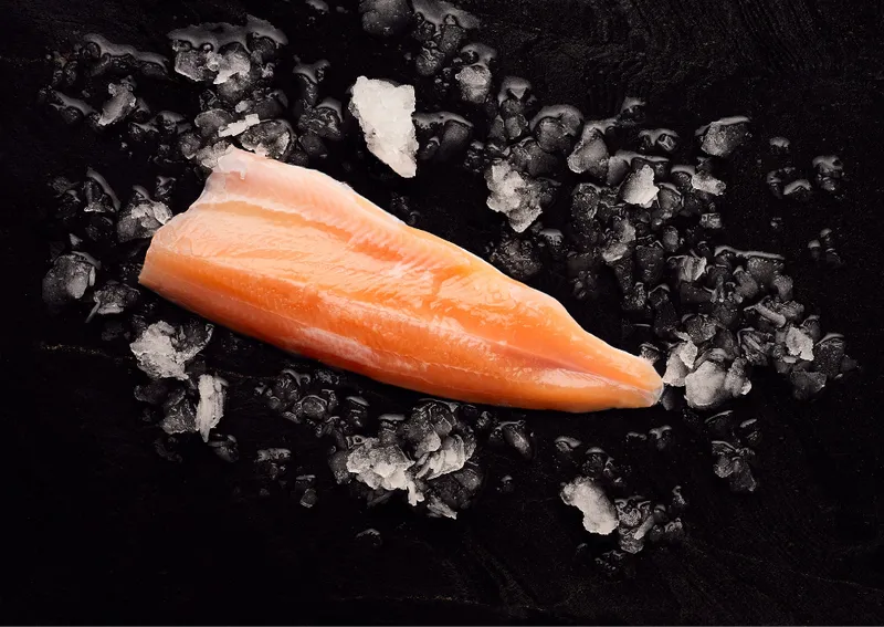 Close-up of a bleke salmon fillet showing its distinctive pink-red meat, resting on crushed ice