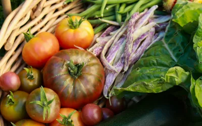 Essential Norwegian foods for self-sufficiency