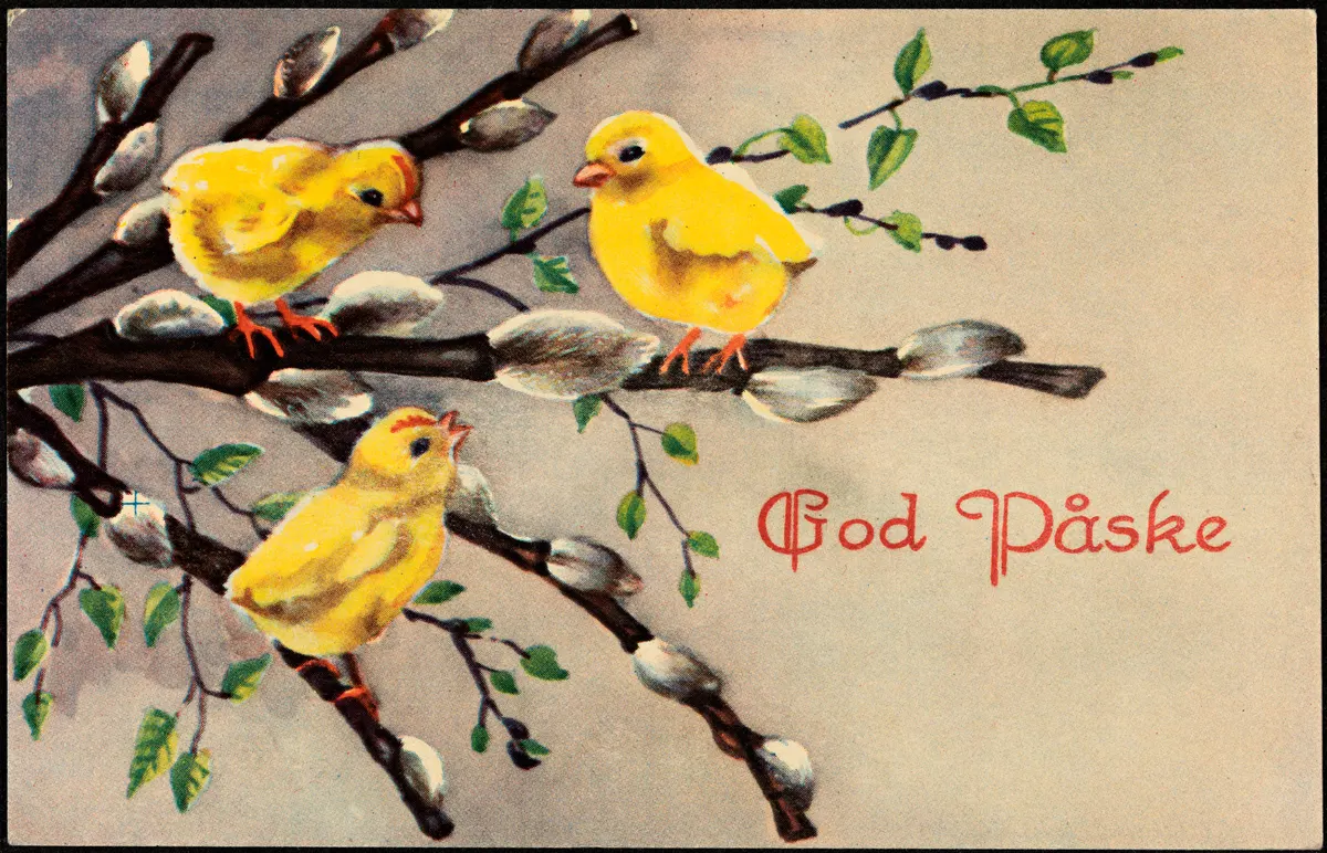 Vintage postcard from 1947 showing three yellow chicks perched on pussy willow branches with budding leaves, with the text God Påske