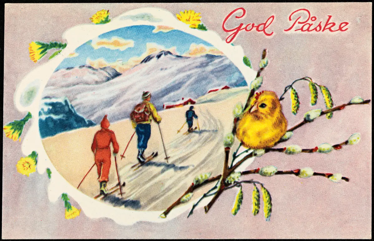 Vintage postcard from 1953 showing a family on cross-country skis in the Norwegian mountains, with yellow spring flowers and a chick