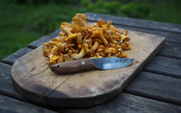 Freshly foraged mushrooms on a rustic wooden cutting board