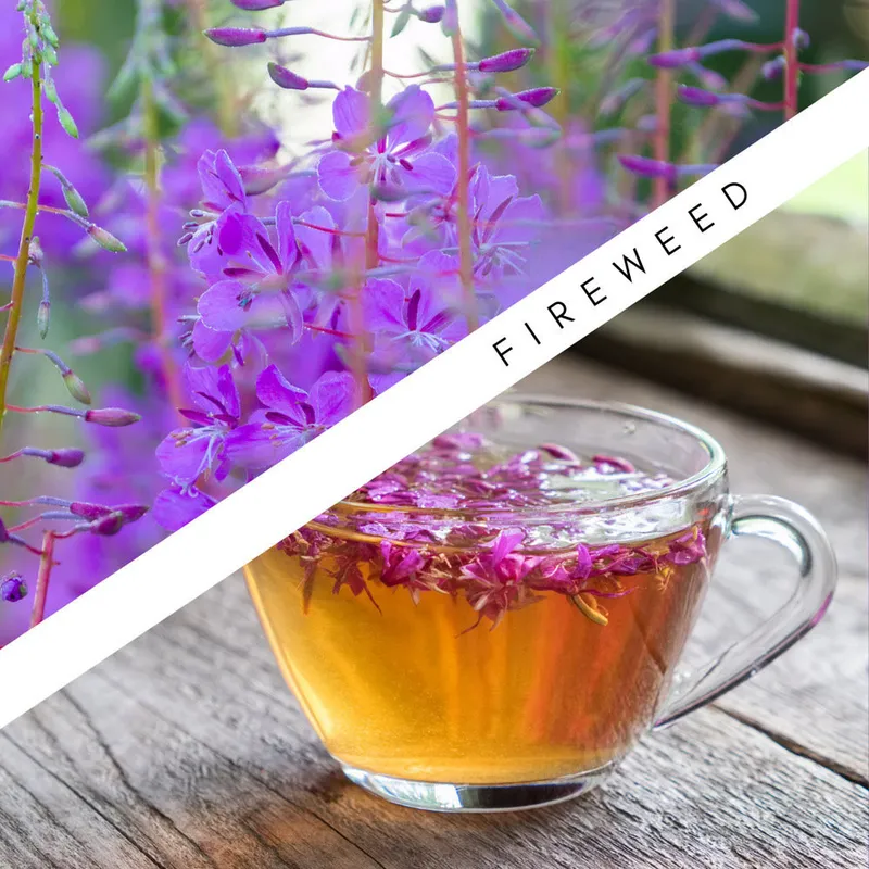 Fireweed plant with purple flowers alongside a prepared fireweed dish