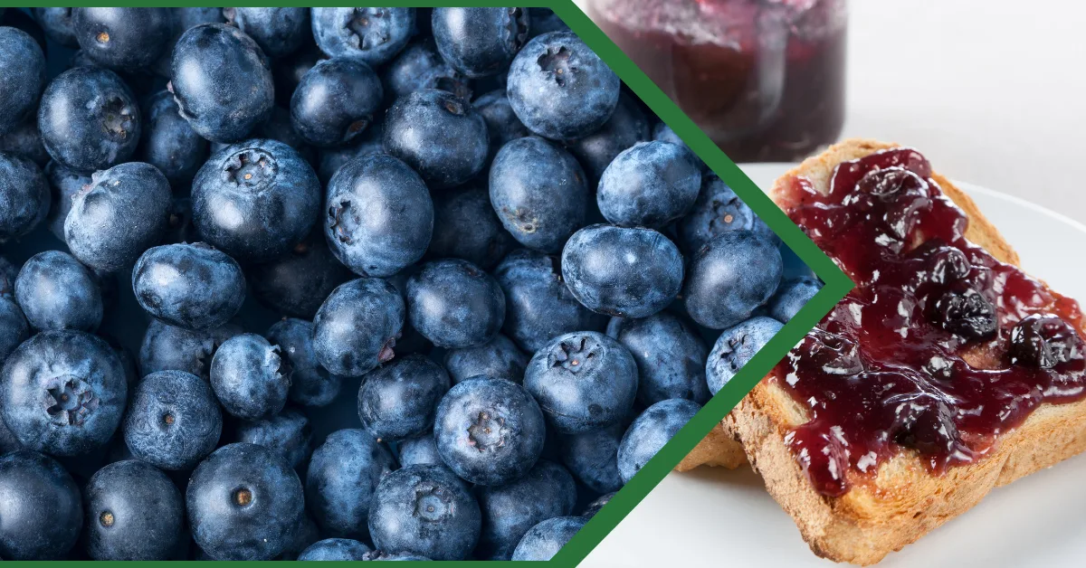 Blueberries piled together on the left and blueberry jam spread on toast on the right