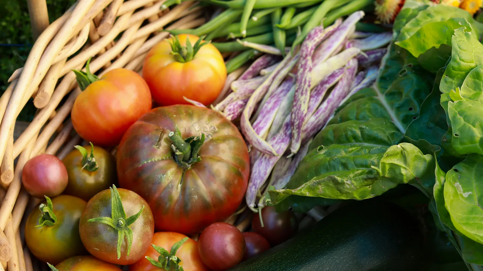 A wicker basket filled with freshly harvested garden vegetables including tomatoes, beans, leafy greens, and zucchini in warm sunlight