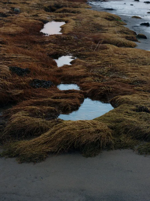 Still ponds of seawater reflecting the sky on a rocky Norwegian beach