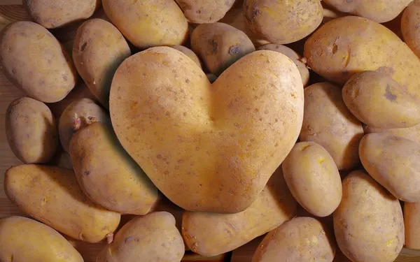 Freshly harvested potatoes on rustic farmland