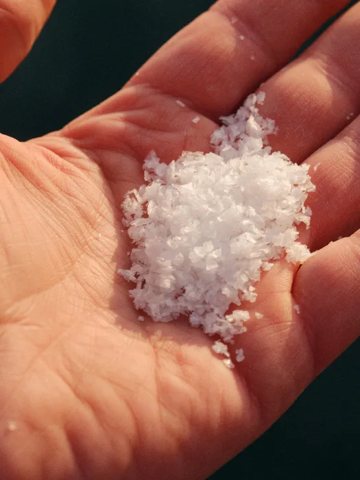 A hand holding a generous handful of glistening Havsnø salt flakes