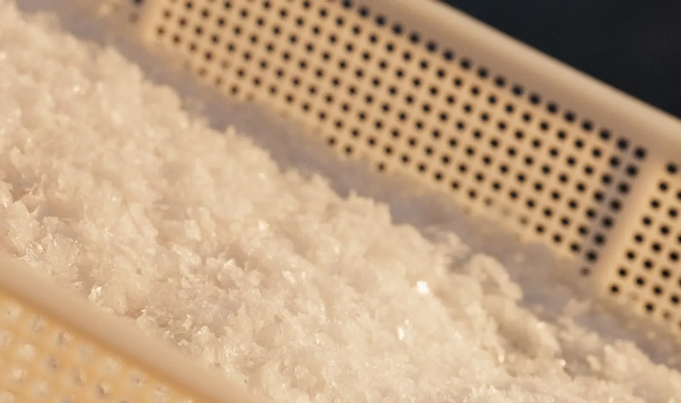 Close-up of Havsnø salt crystals glistening in natural light