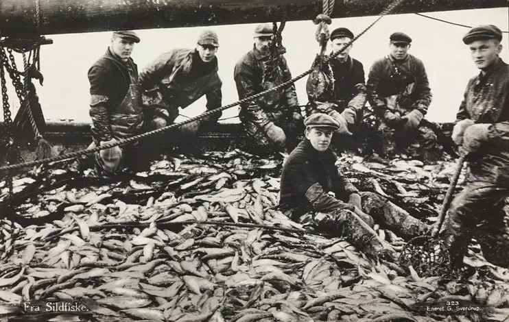 Black-and-white photograph from the 1930s showing barrels of salted herring at a Norwegian trading post