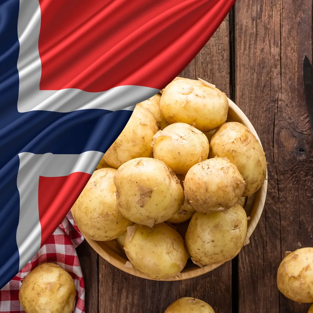 Colourful illustration of fresh potatoes with green leaves on a warm background