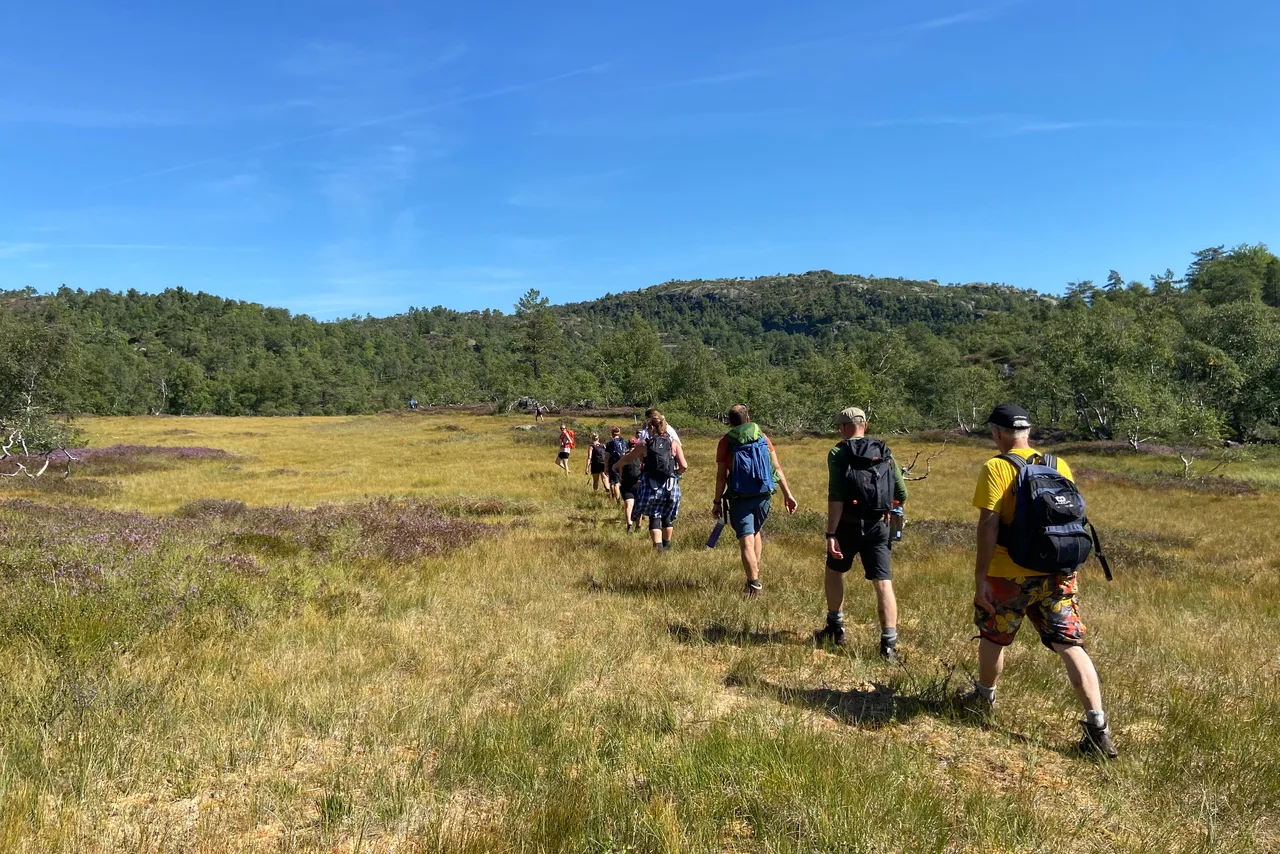 A long and scenic hiking trail through the Åseral highlands leading towards Lordehytta