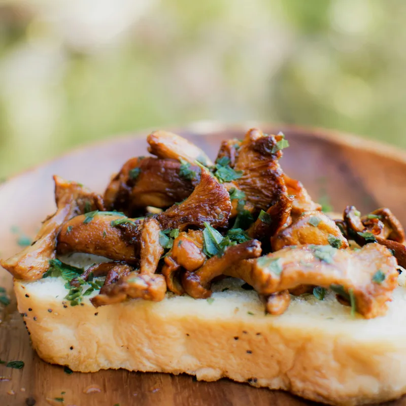 Open-faced toast topped with sautéed yellowfoot mushrooms