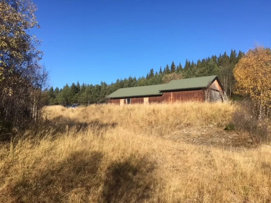 A well-preserved wooden tool shed surrounded by autumn forest on the Reveskogen hillside