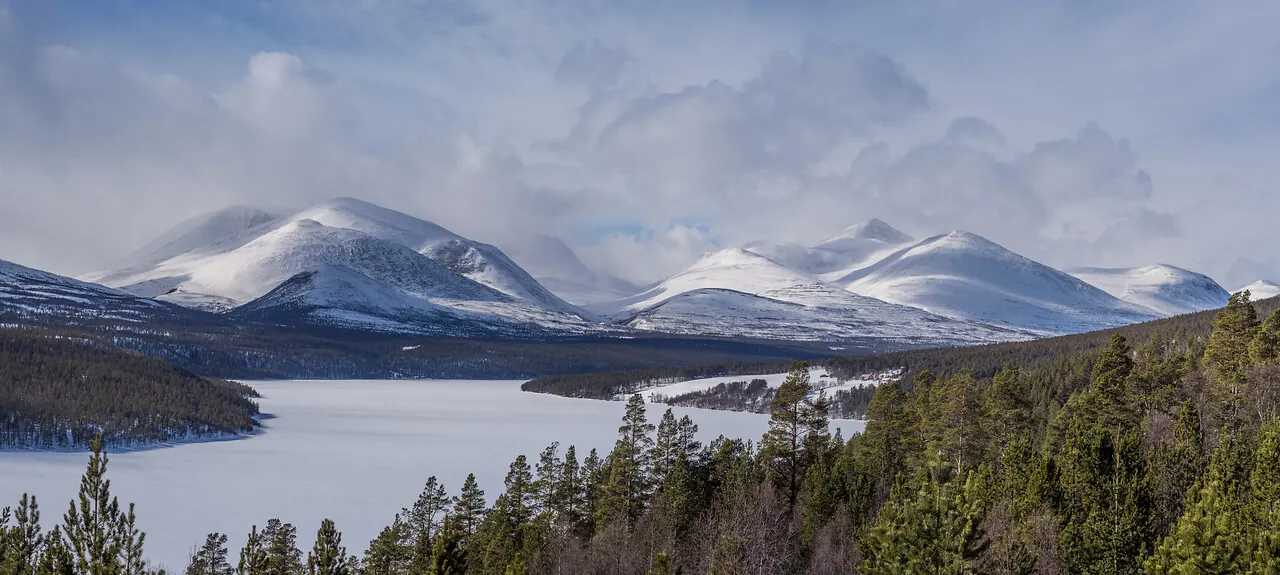 Snow-covered Rondane mountains rising behind a frozen lake and dense pine forest under a cloudy winter sky along Rondanevegen