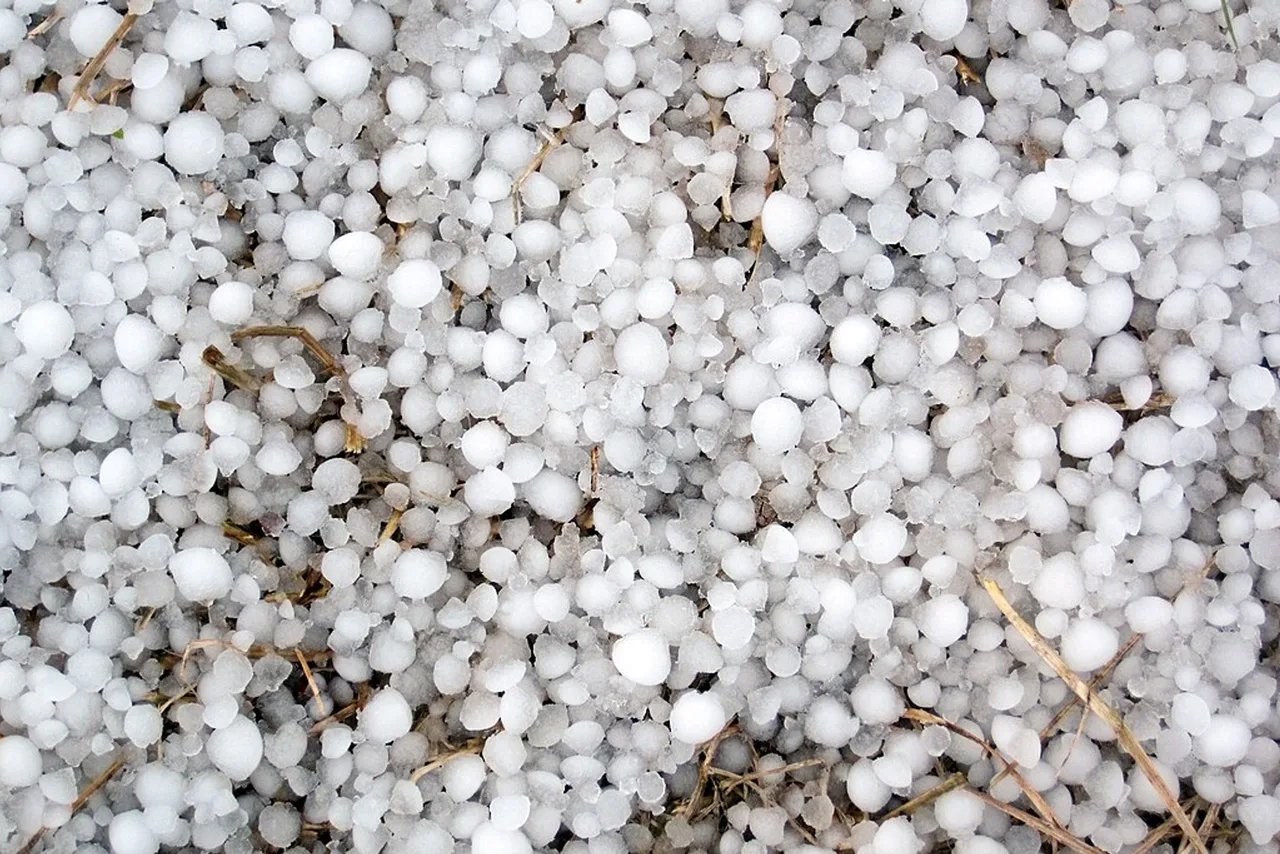 Small hailstones scattered on a surface — tiny ice balls