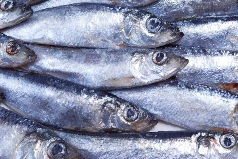 Research activities at NORSØK, the Norwegian Centre for Organic Agriculture in Tingvollvågen
