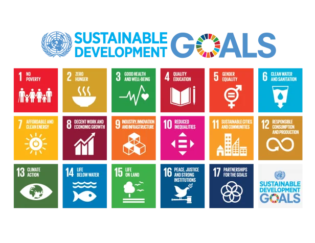 UN Sustainable Development Goals graphic with the 17 colourful goal icons, including No Poverty, Quality Education, Climate Action and Partnerships.