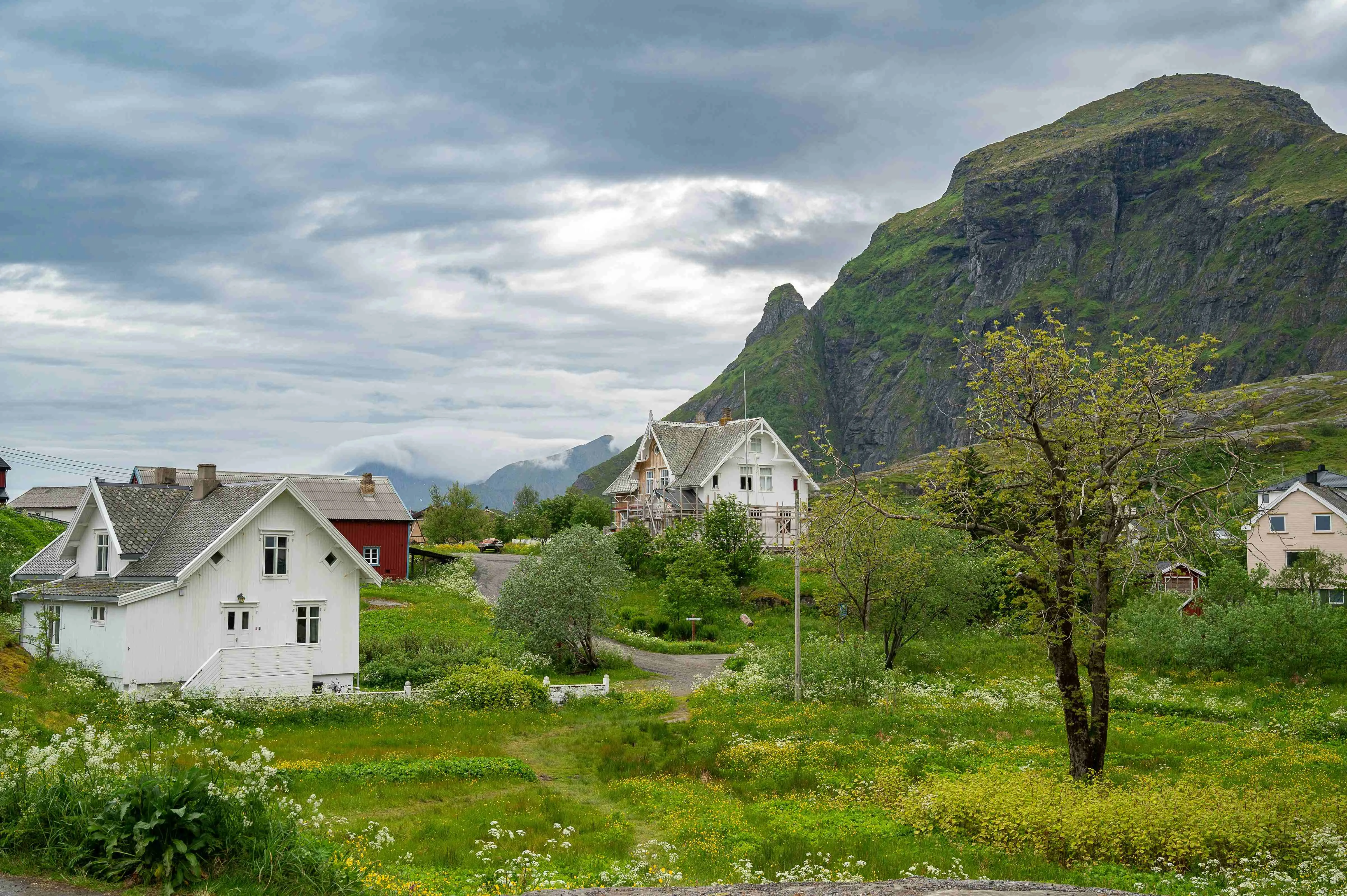 Houses in Å village landscape