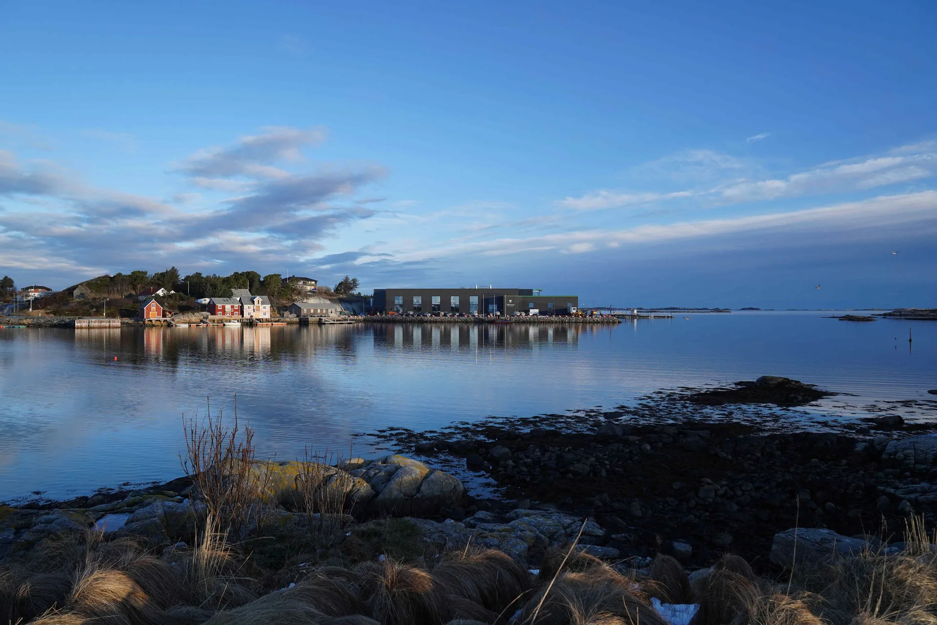 Vikenco salmon processing facility