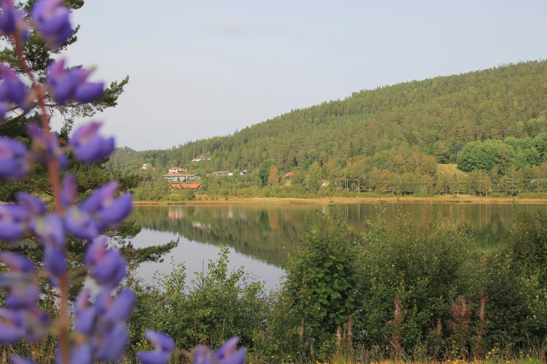 The Åkle CLT housing development in Birketveit
