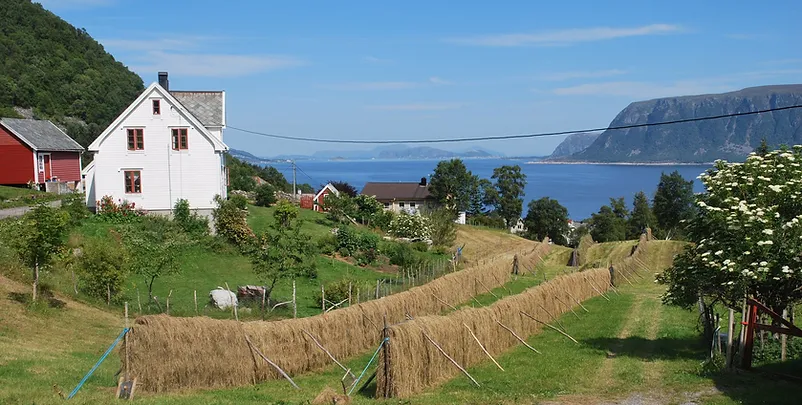 Brandal village by the fjord
