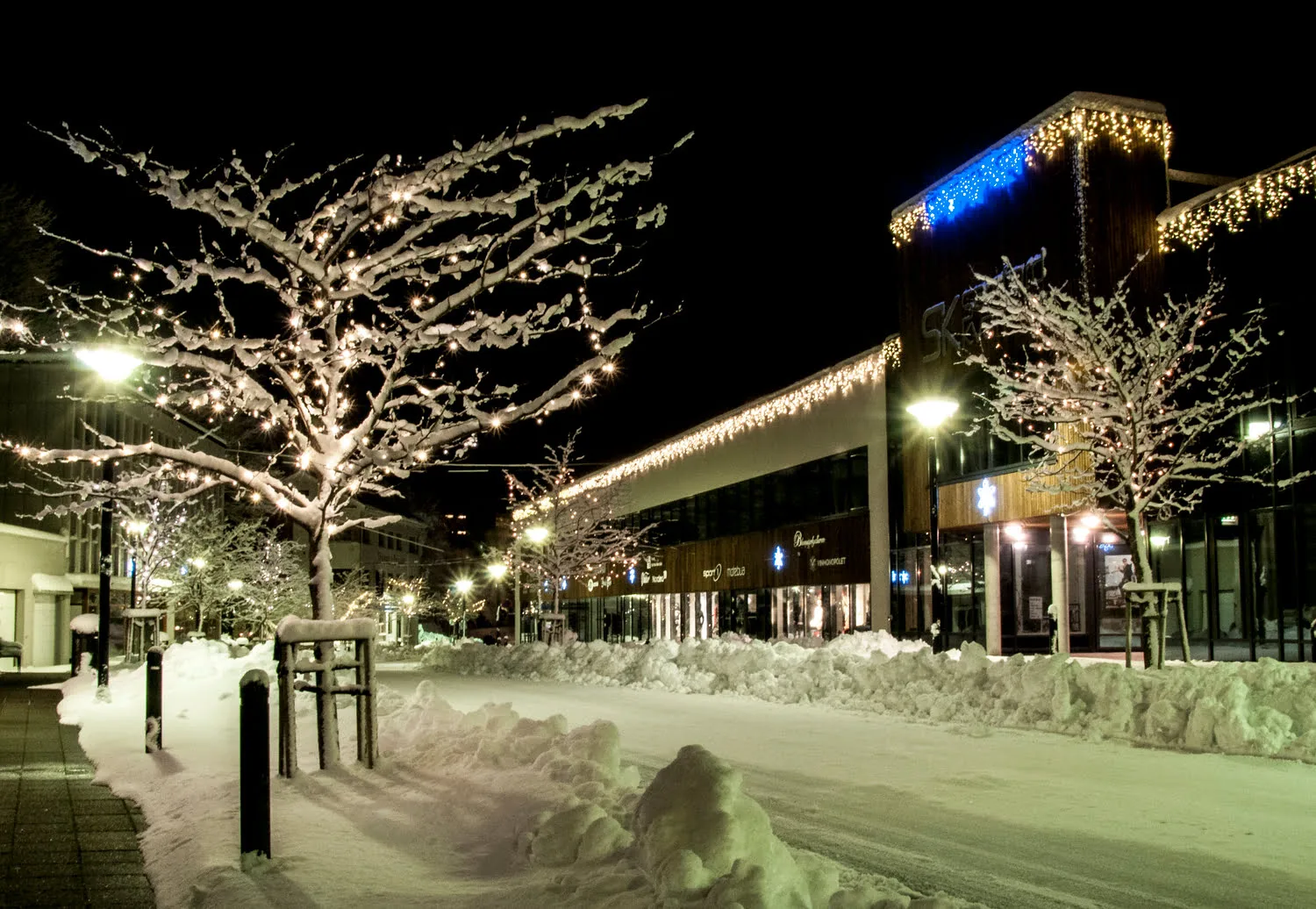 Christmas in the village