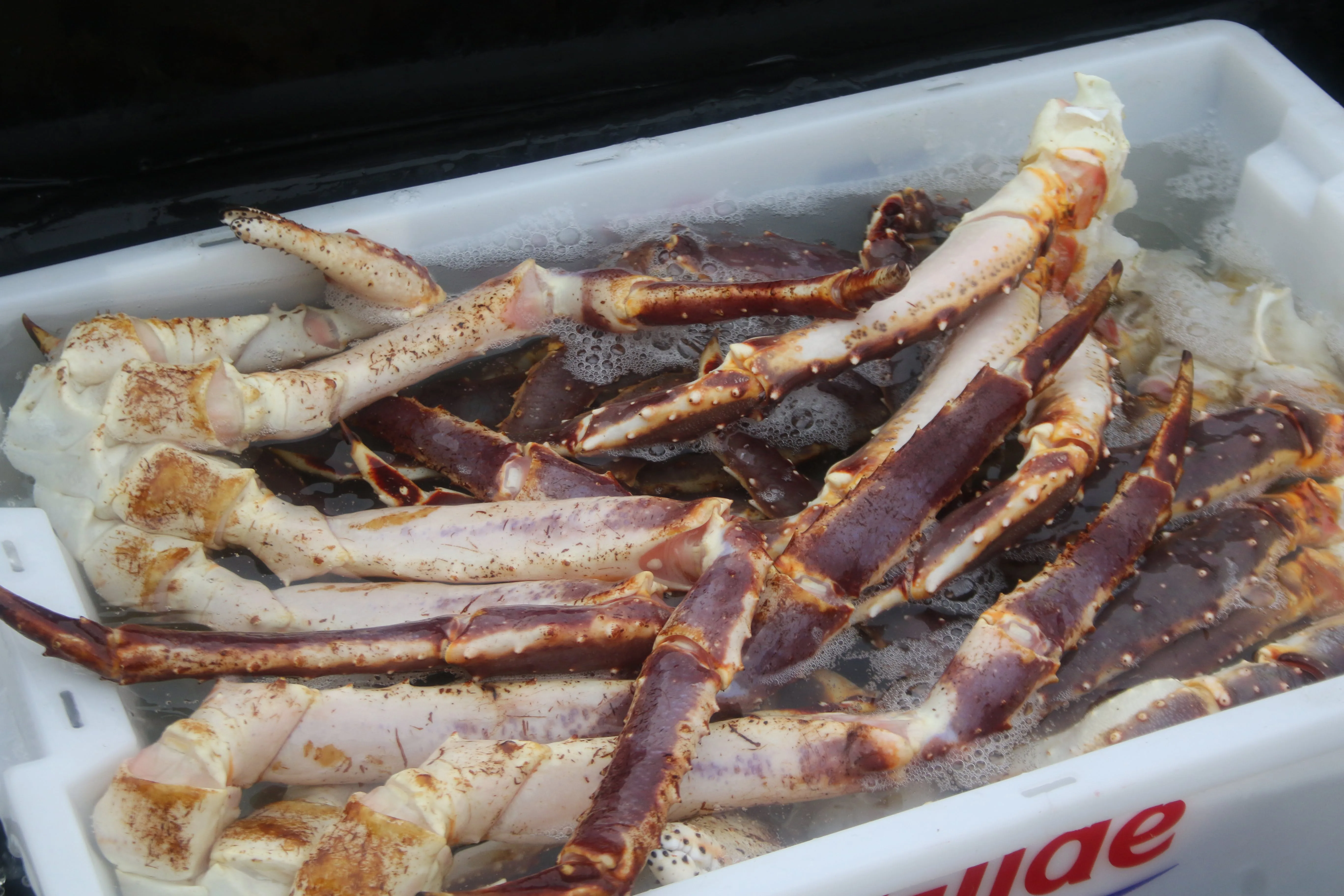 Village life in Bugøynes