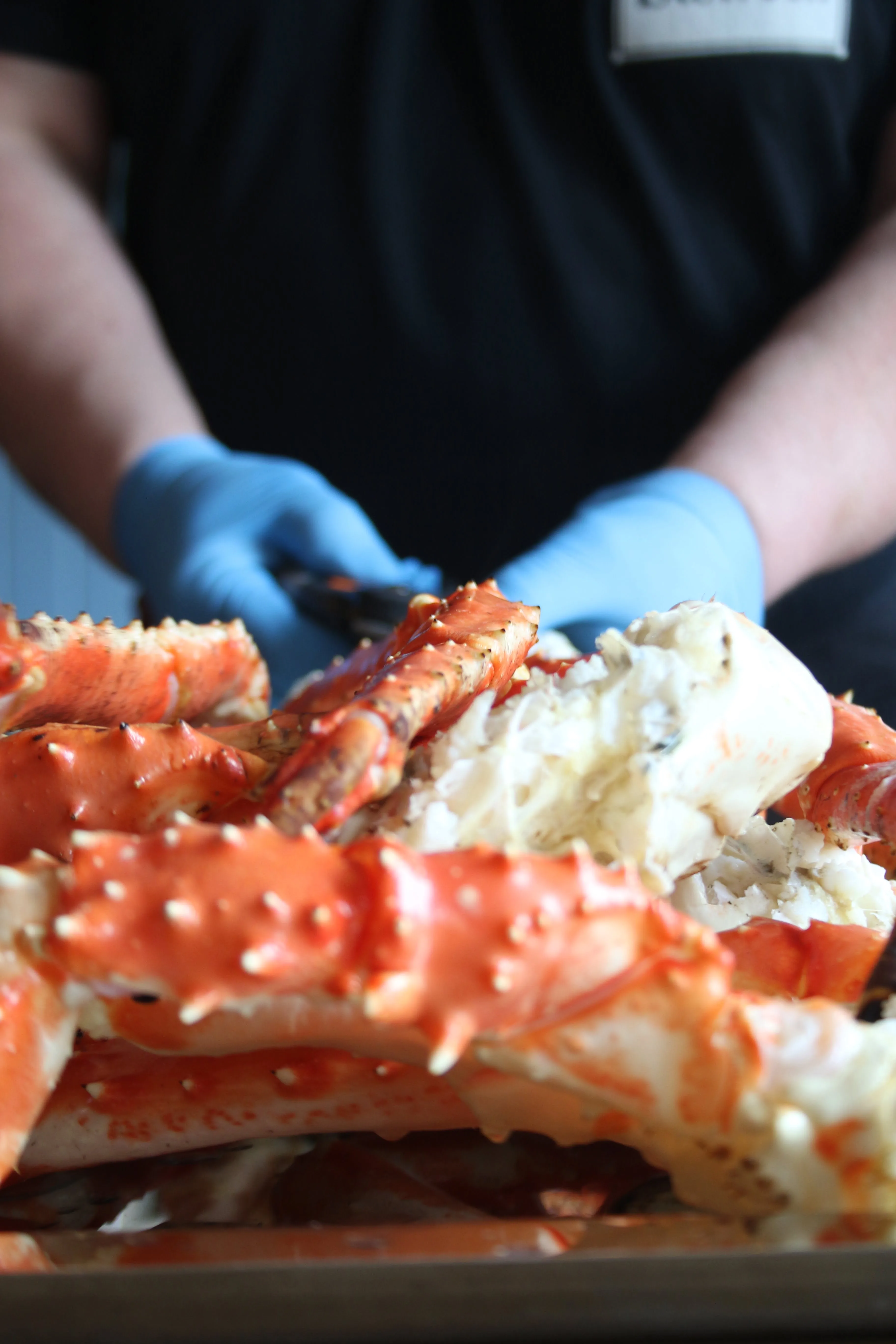 Winter portrait at Bugøynes
