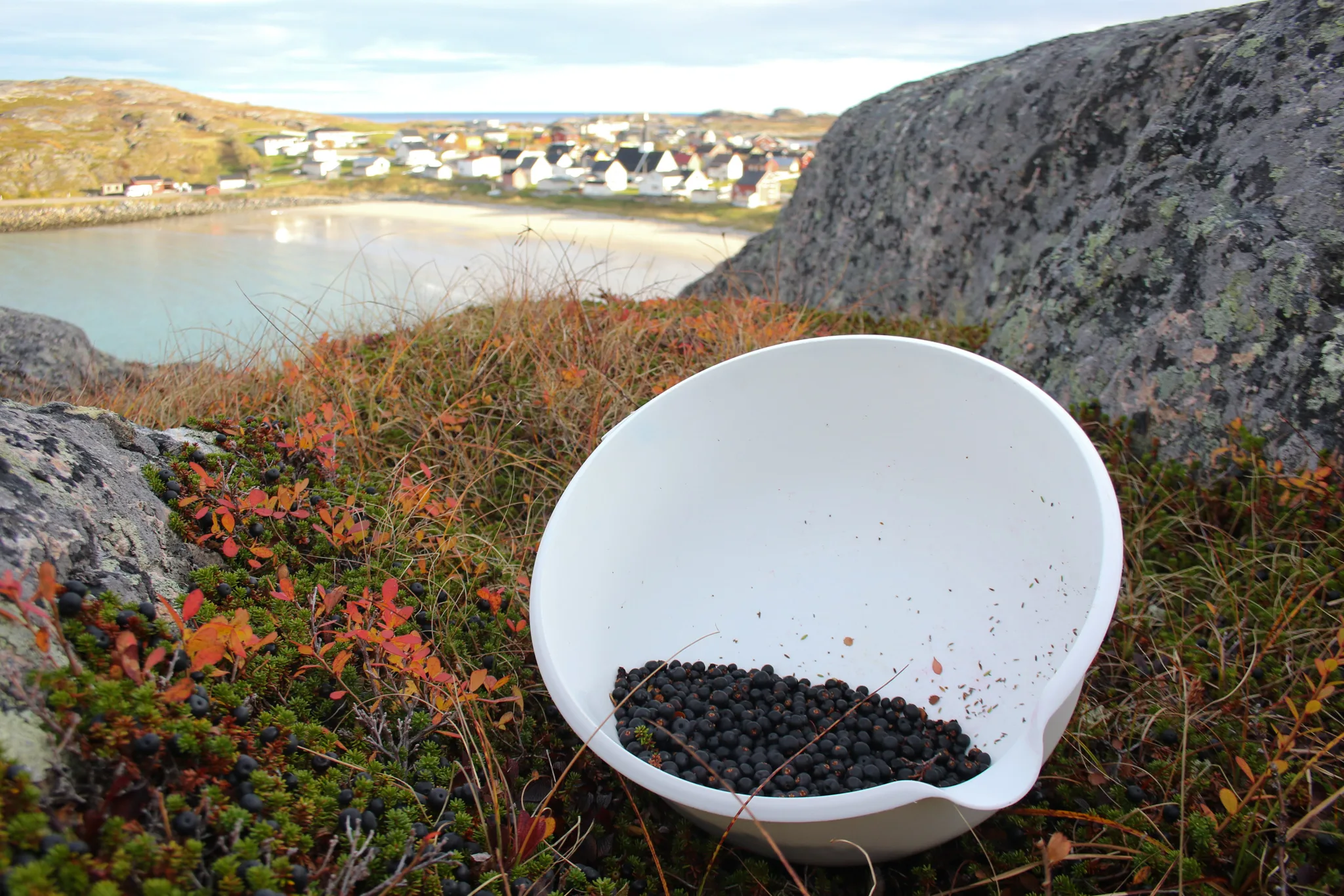 Bugøynes coastal scenery