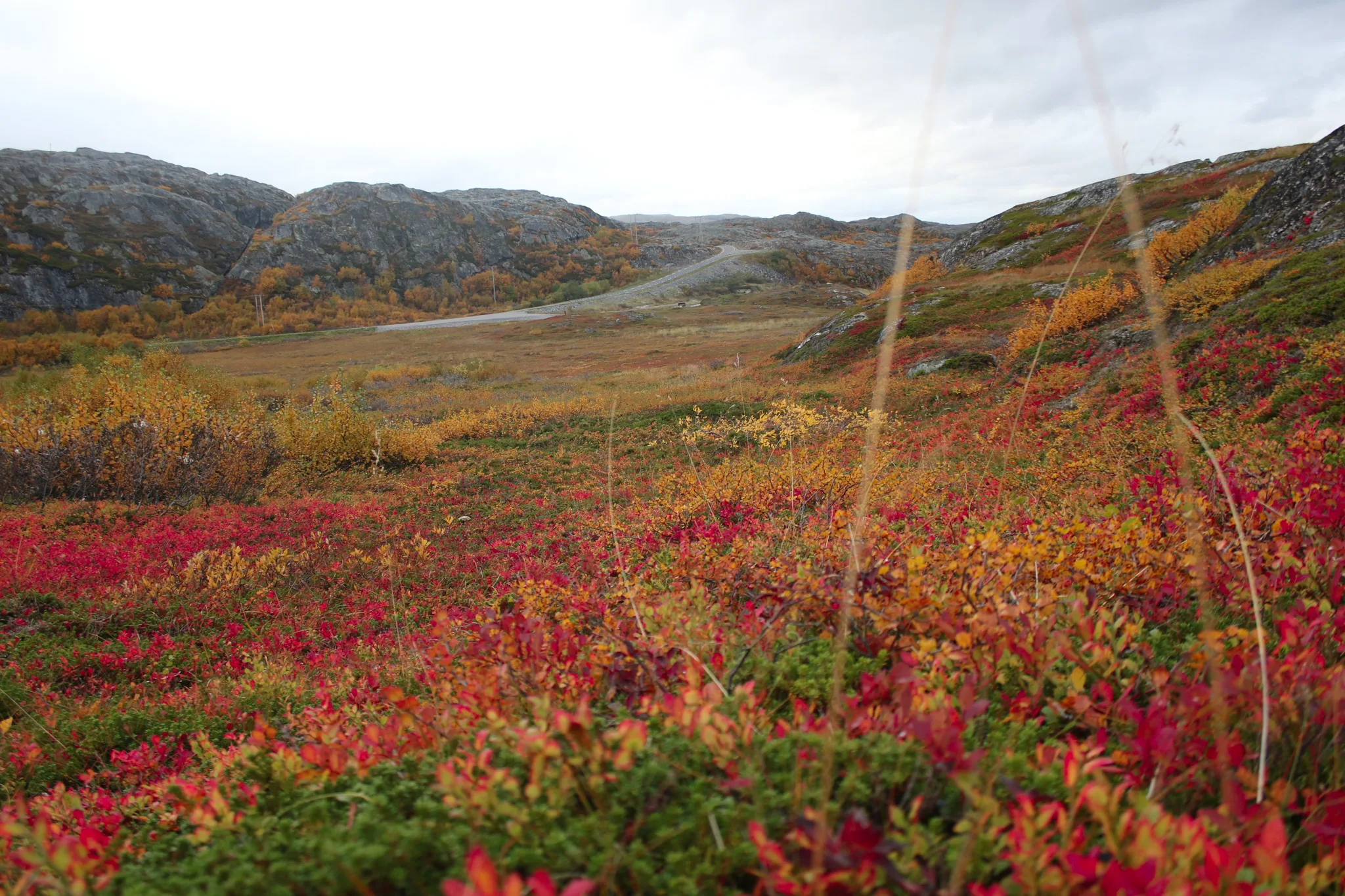 Bugøynes village view
