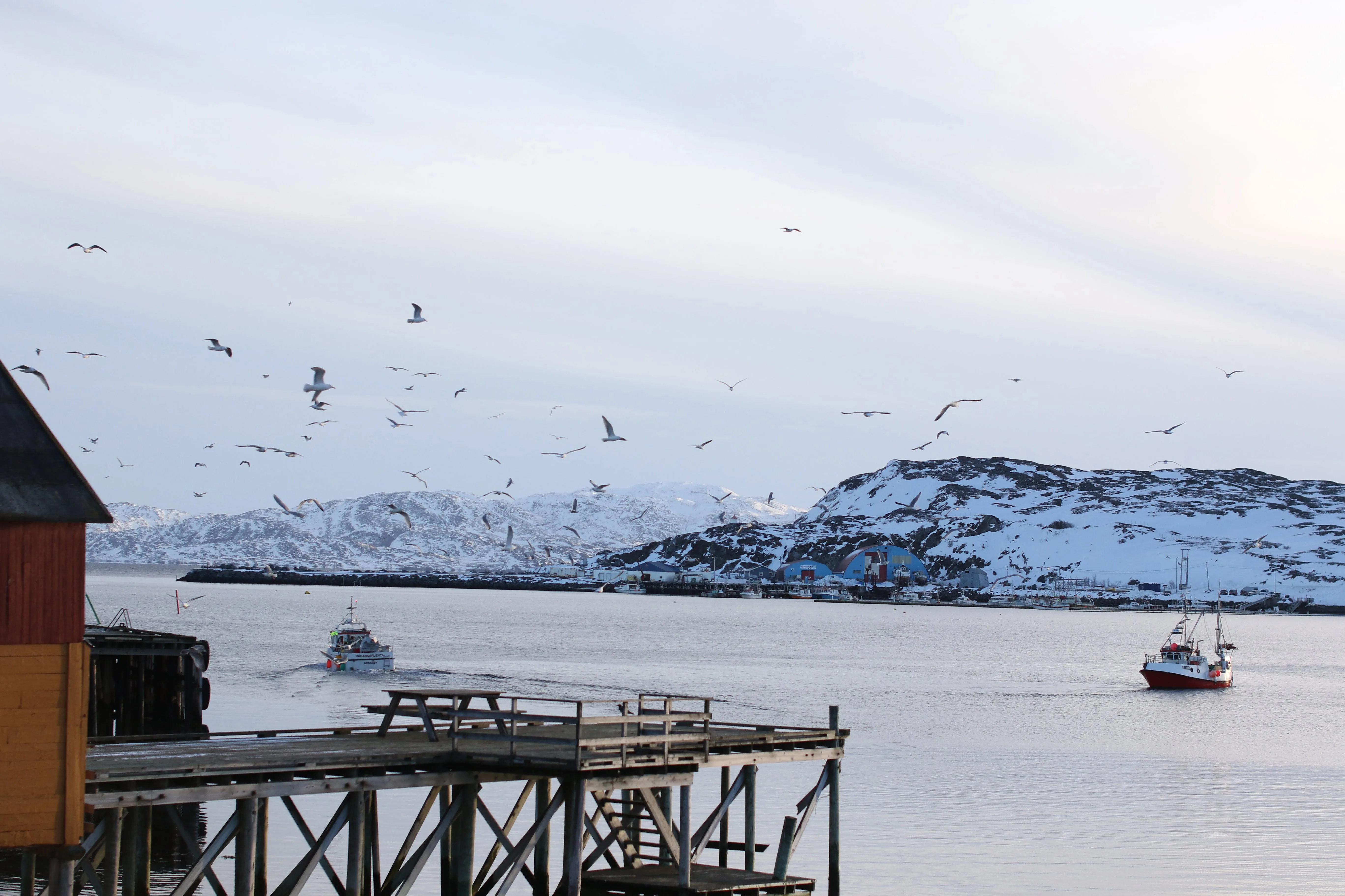 Bugøynes village on the Varangerfjord