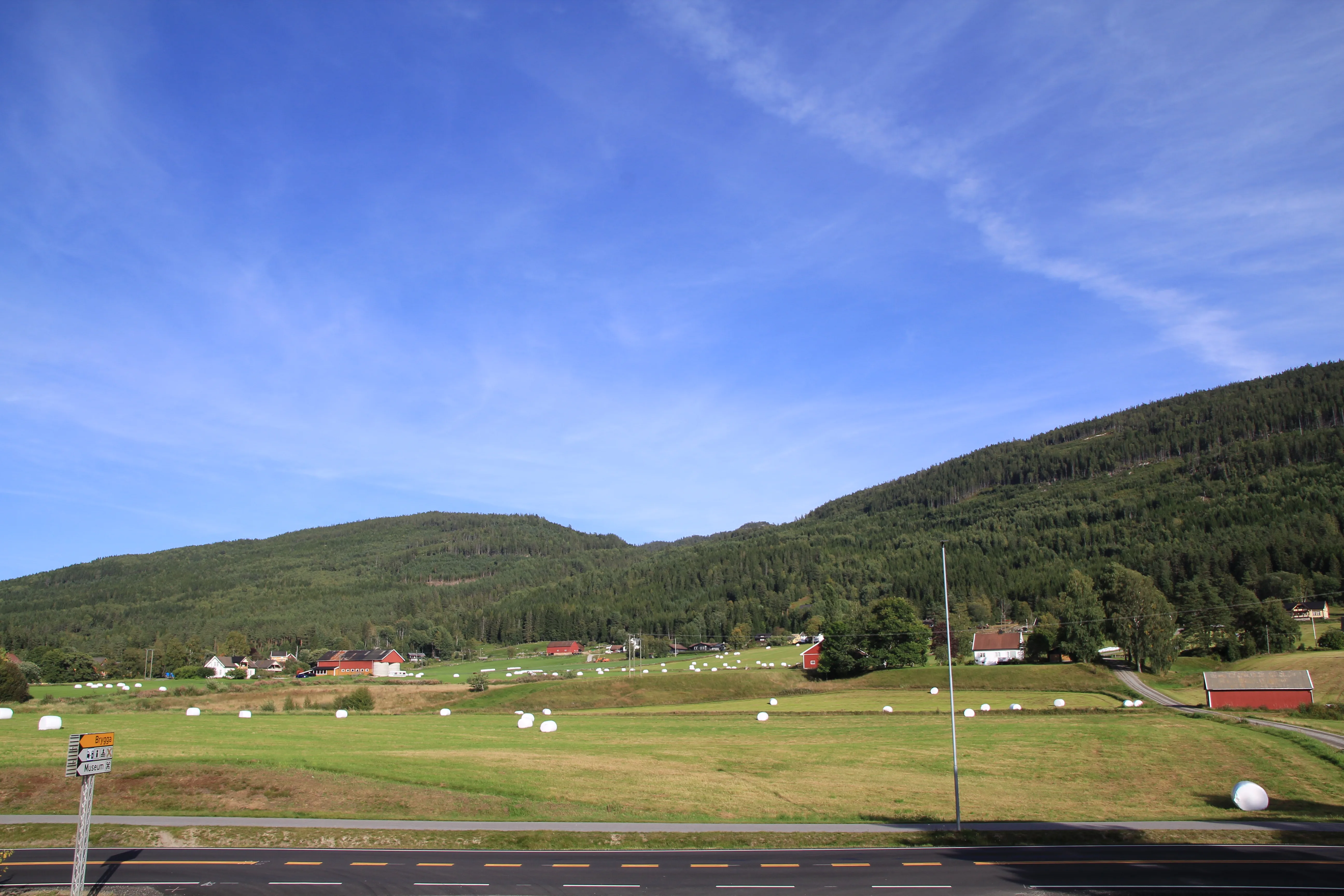 Summer day by the lake