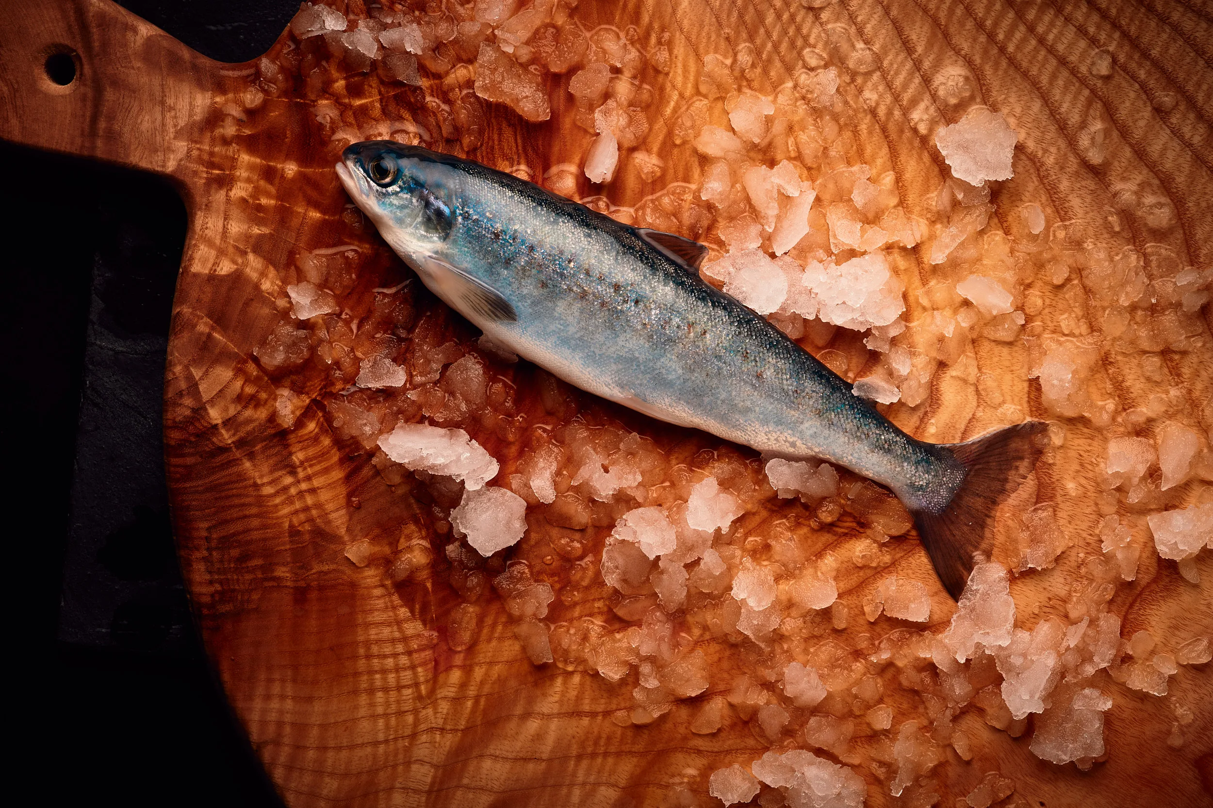 Bleka fish from Byglandsfjorden
