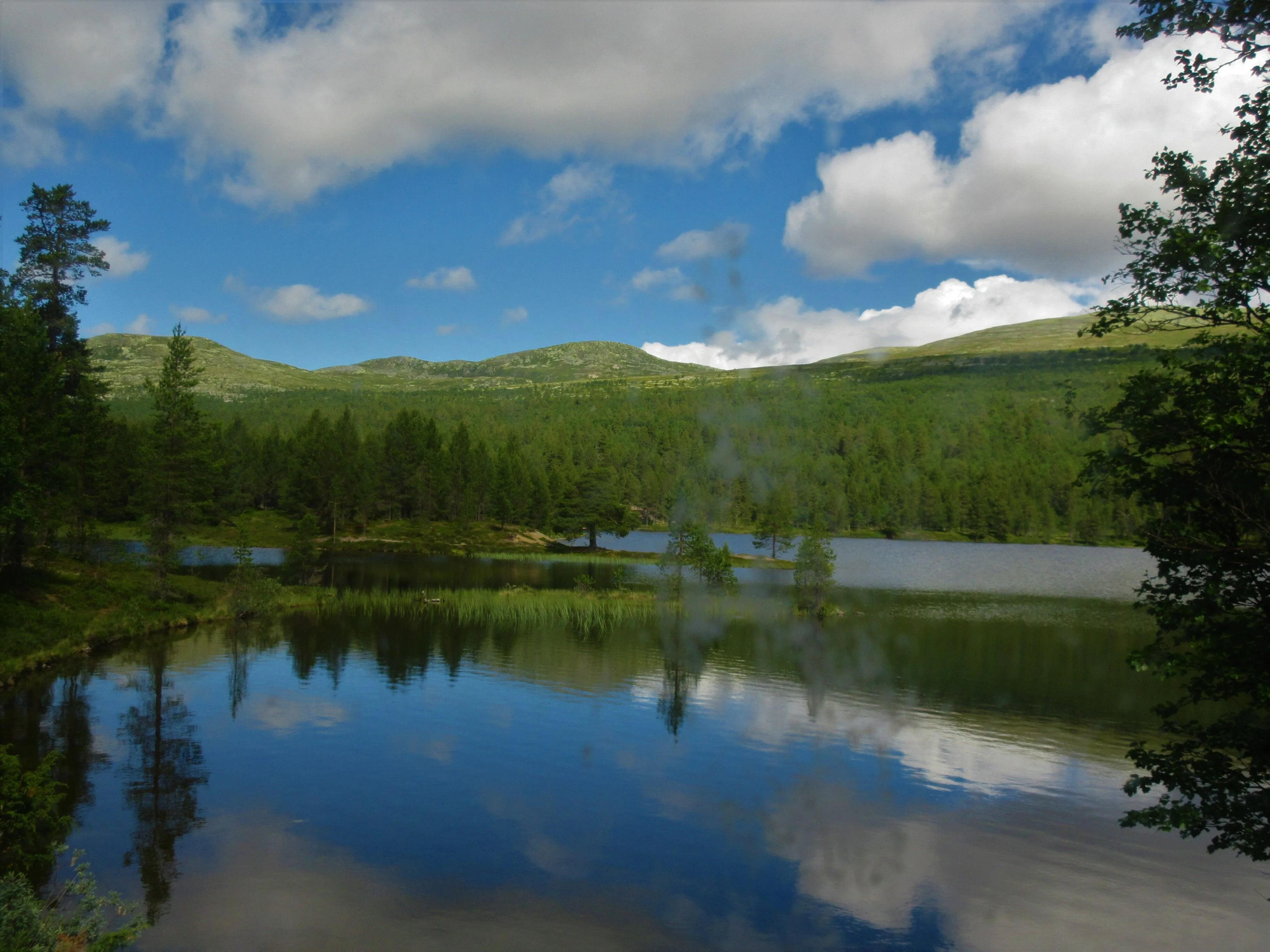 Femundsmarka National Park landscape near Elgå