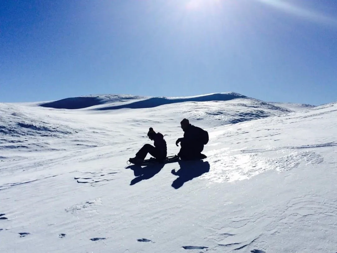 Families sledding in the sun near Folldal