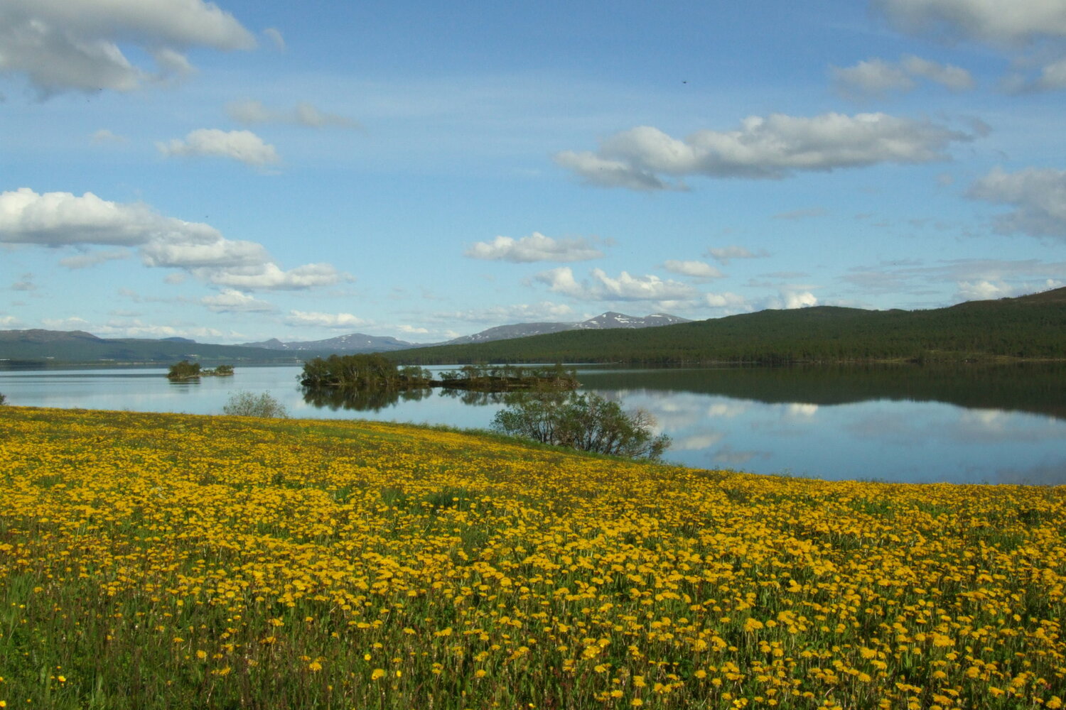 Glåmos village along the Glomma River in Røros
