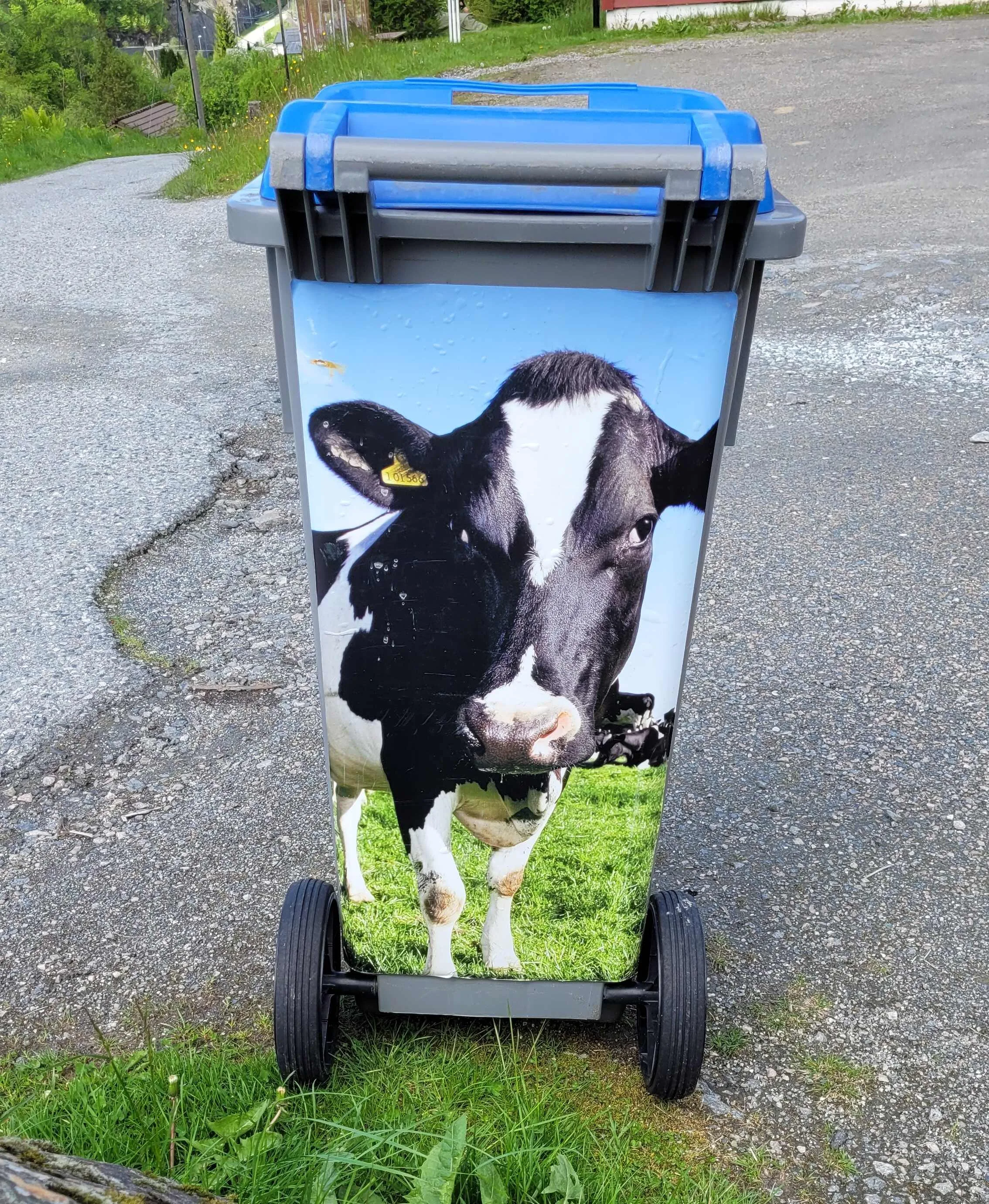 Creative garbage bin art in Hosanger