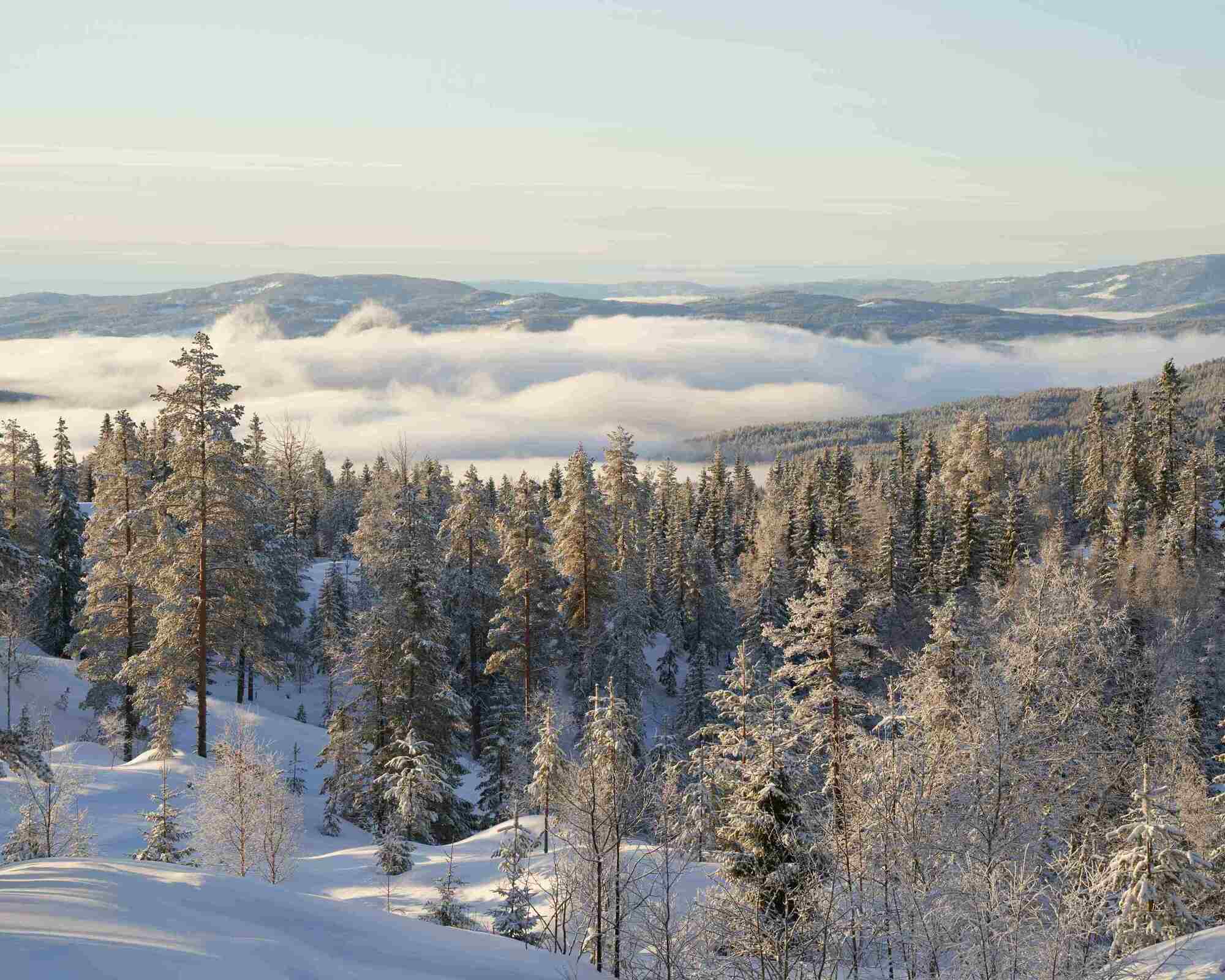 Winter landscape near Krøderen with snow-covered mountains