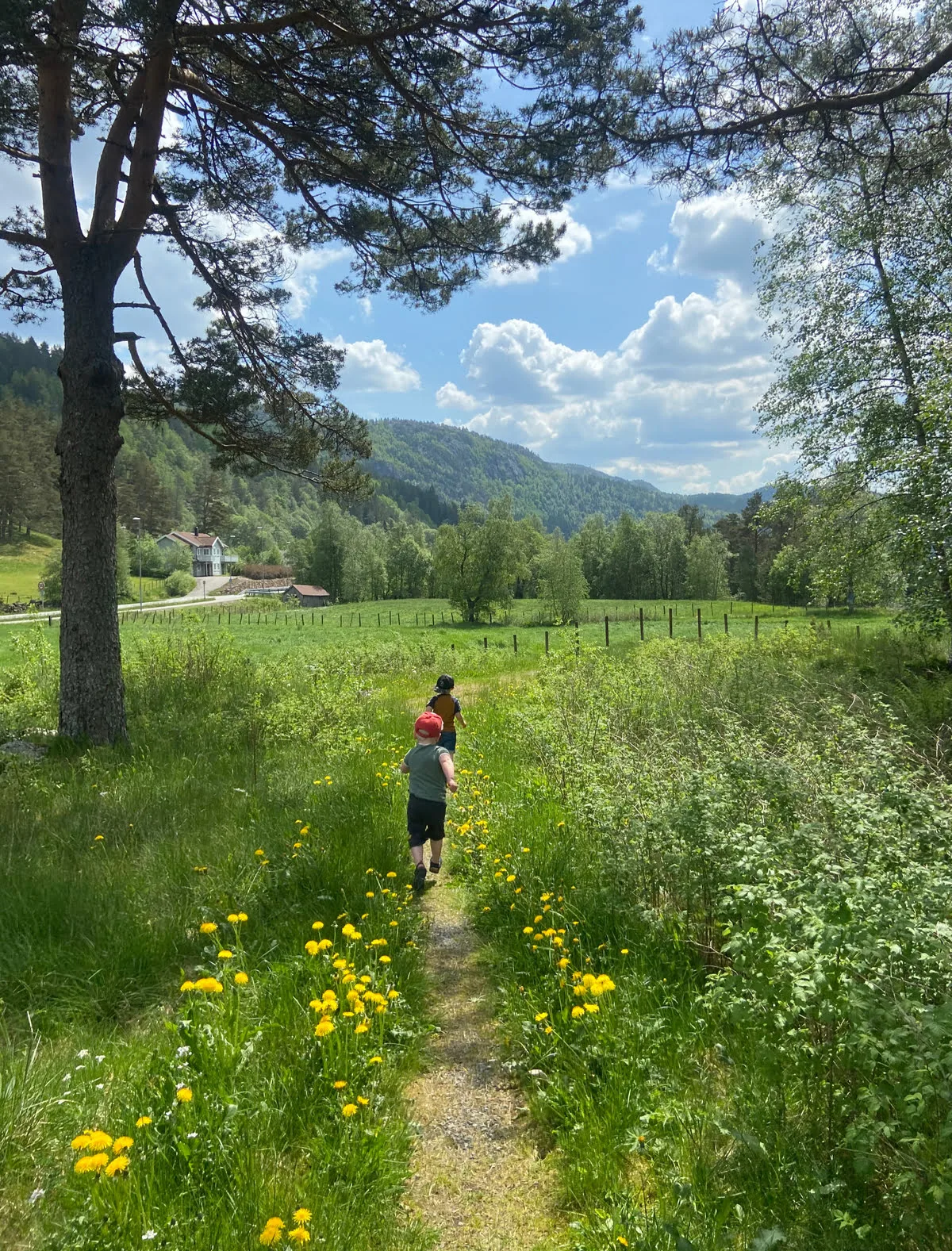 Two kids running in a flower meadow