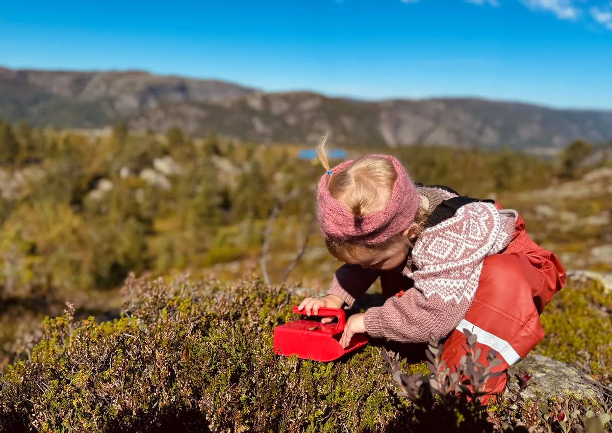 A little girl picking berries