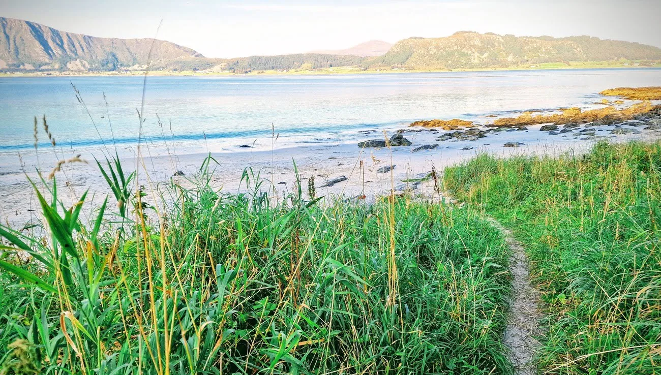 Grass, beach and sea with mountains in the background