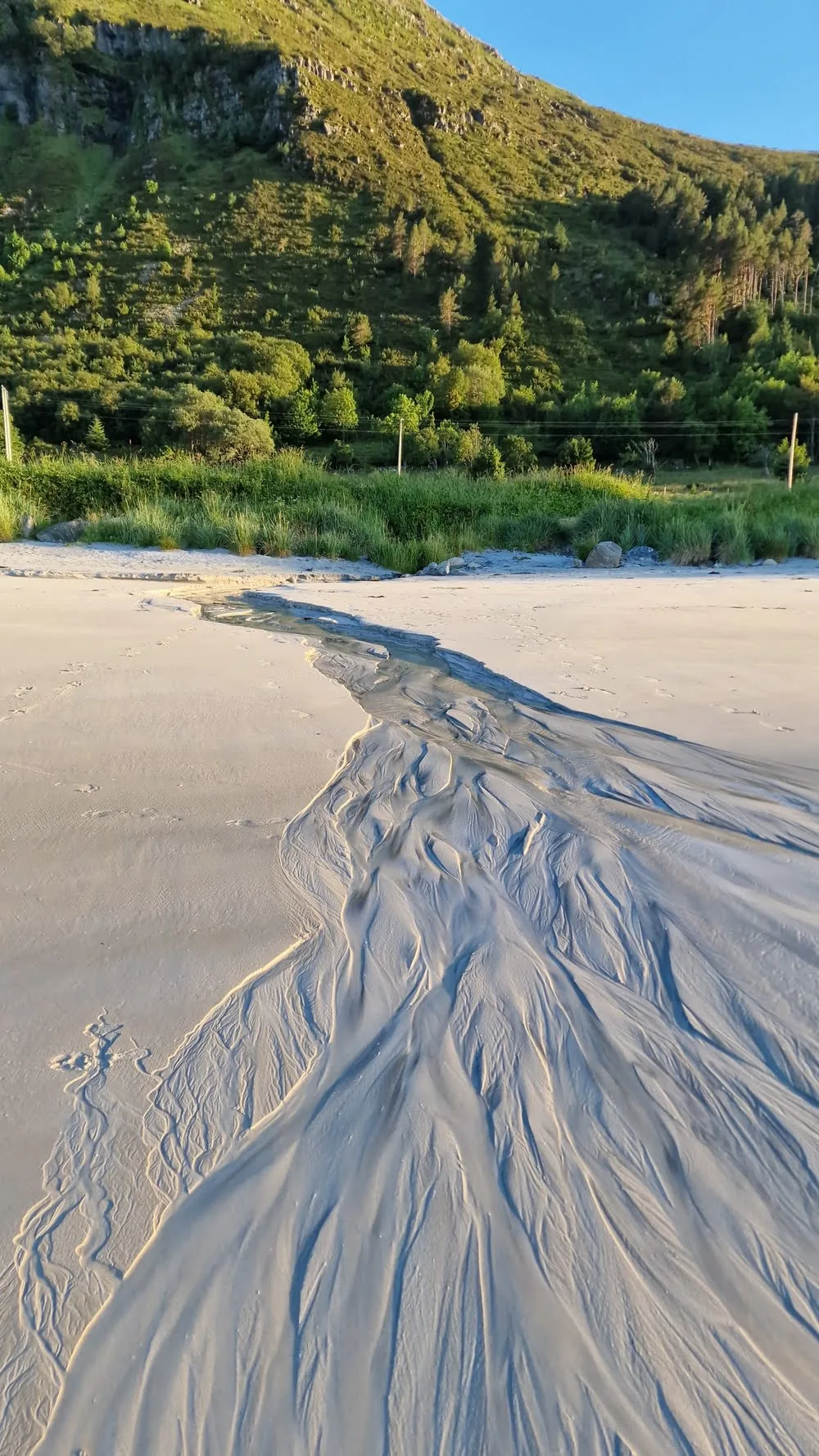 Lepsøya portrait view