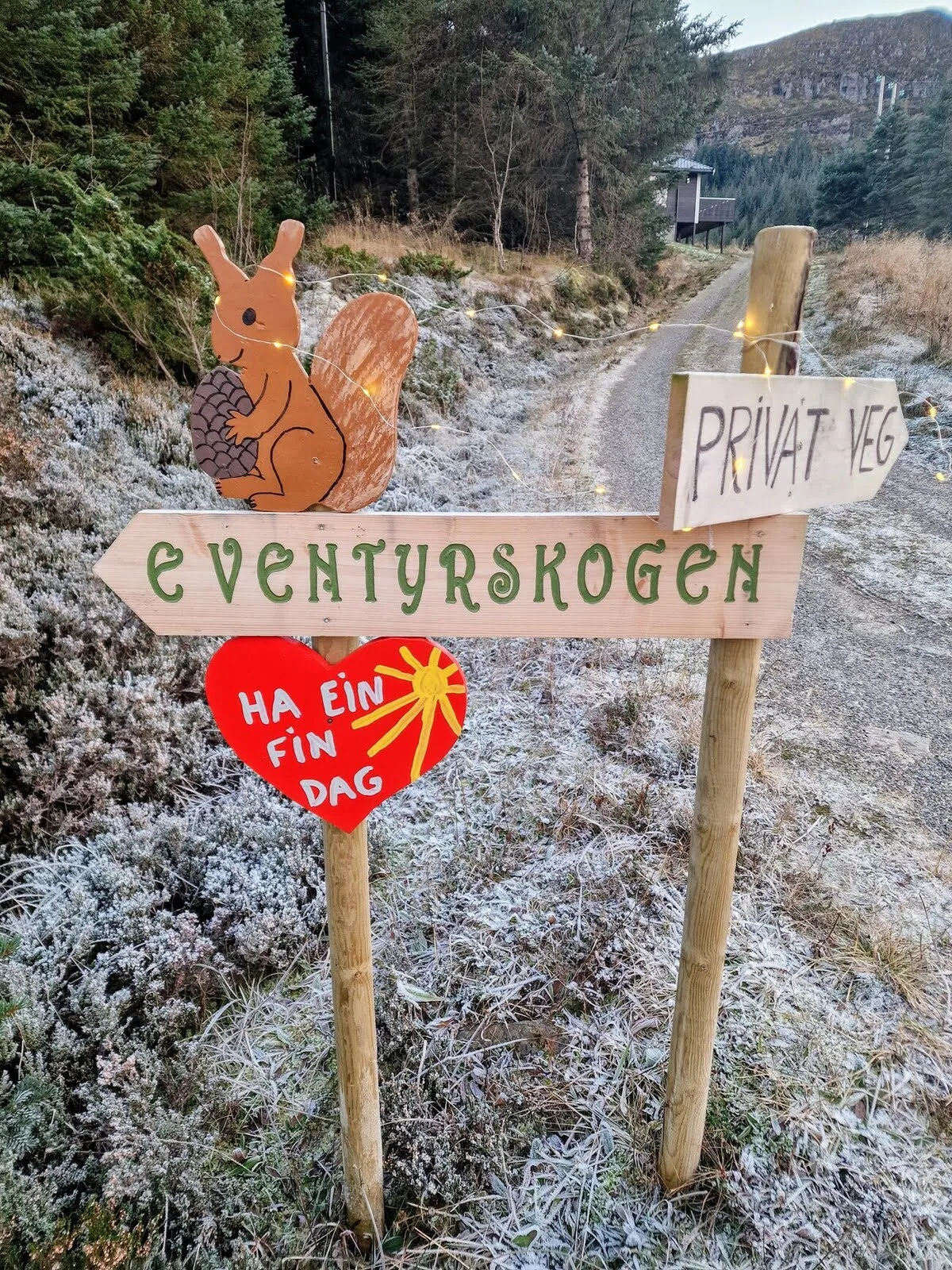 Lepsøya portrait scene