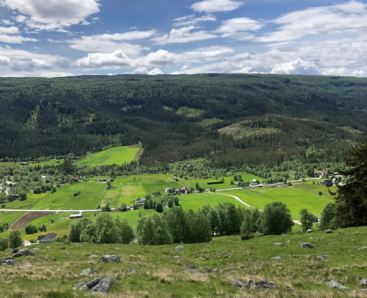 Mid-slope farming style in Leveld, Norway