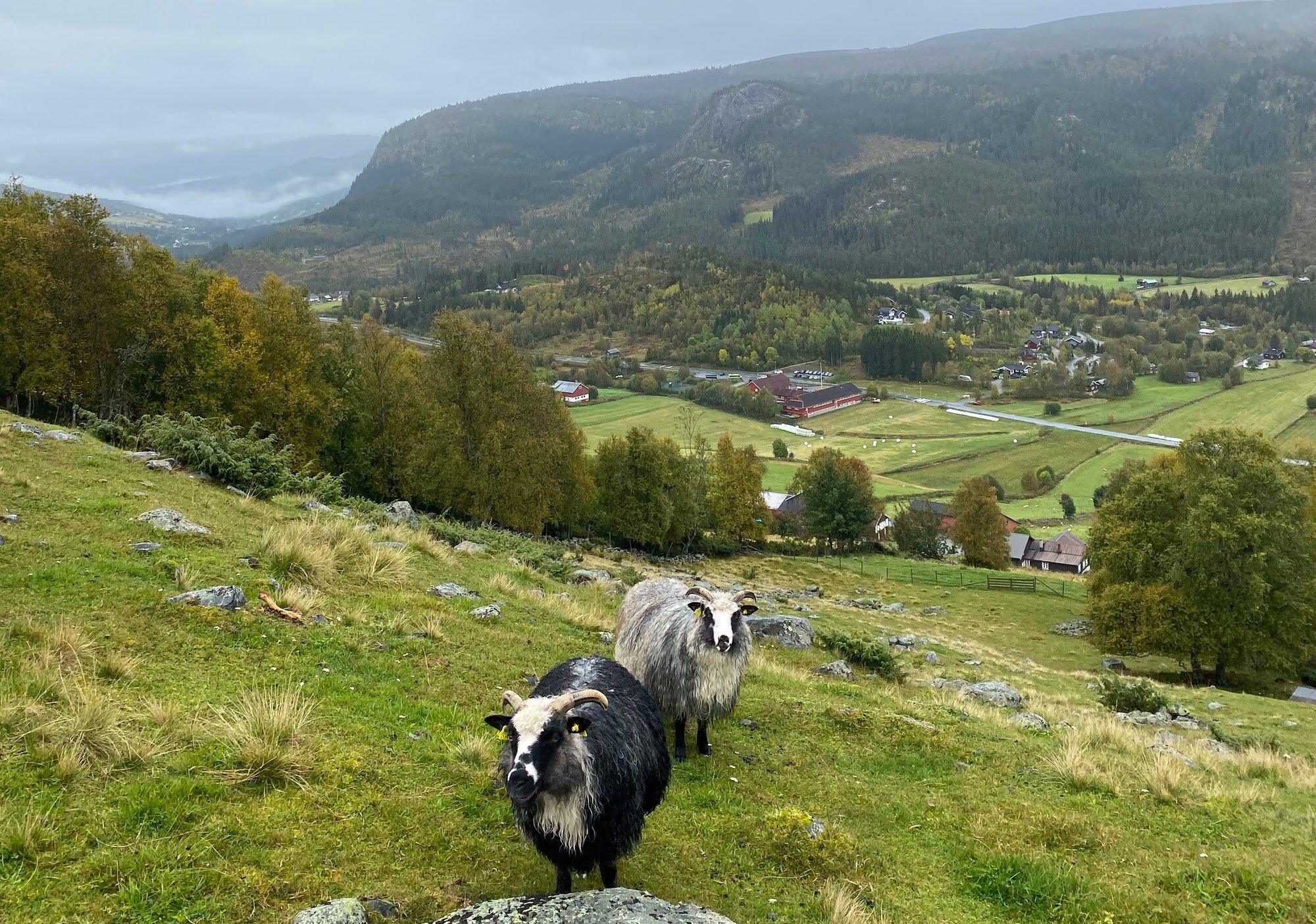 Leveld village in the mountains of Hallingdal