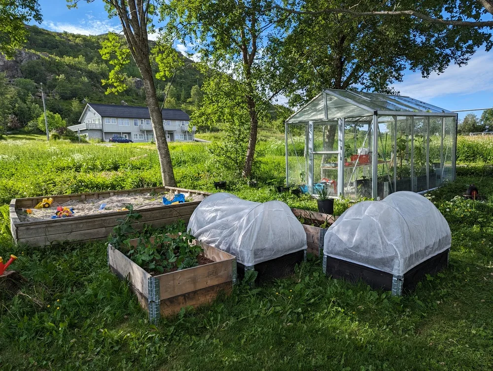 Greenhouse and plants at the school at Løkta